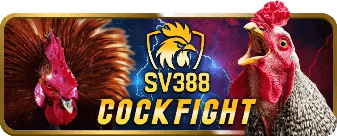 Cá cược bóng rổ Sodo6789 App